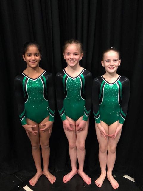 Gymnasts before their competition
