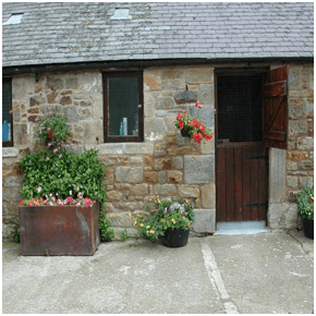 Cat hotel in Northumberland call Coquetdale Kennels and Cattery Cat Hotel