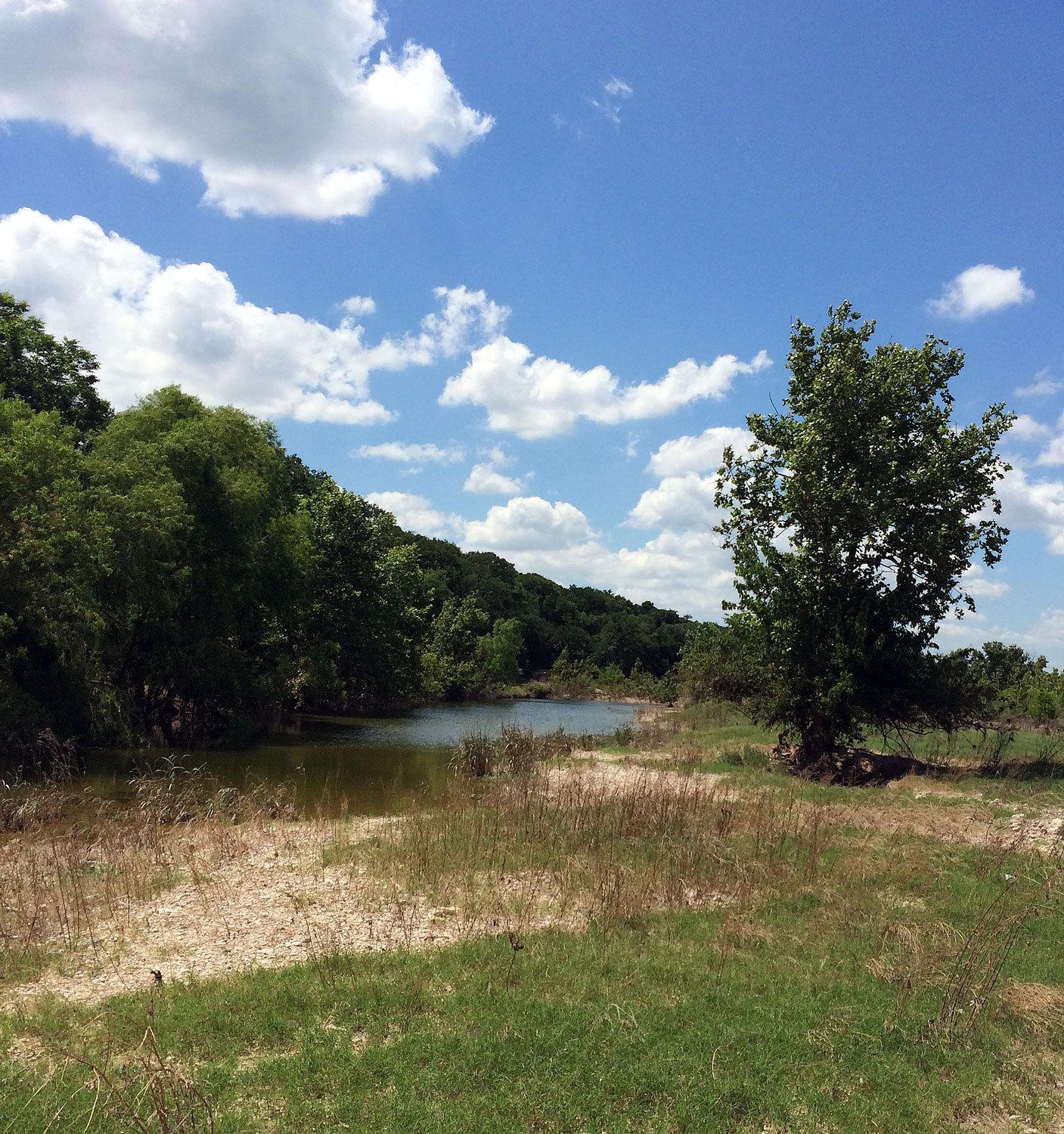 Cibolo Trails Homeowners Association