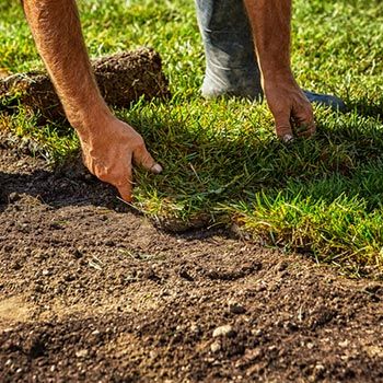 Residential Turf — Sod Installation in South Seaville, NJ