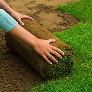 Sod Care — Top-Quality Turf in South Seaville, NJ