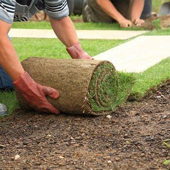 Residential Sod Delivery Services In Egg Harbor Township, Nj Residential Sod Delivery Services In Egg Harbor Township, Nj