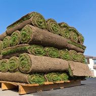 Sod Company — Sod Care Advice in South Seaville, NJ