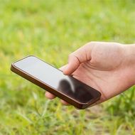 Turf Farm — Free Phone Quote in South Seaville, NJ