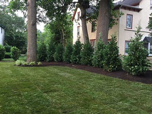 Landscape Photo 4 — Landscape Design in Edison, NJ