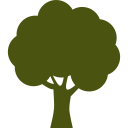D & S Landscaping Inc