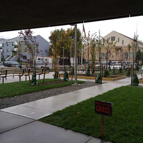 Activity Area — Landscape Design in Edison, NJ