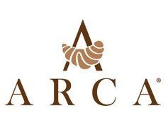 Arca-LOGO