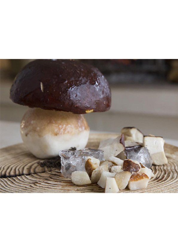 Funghi porcini a cubo