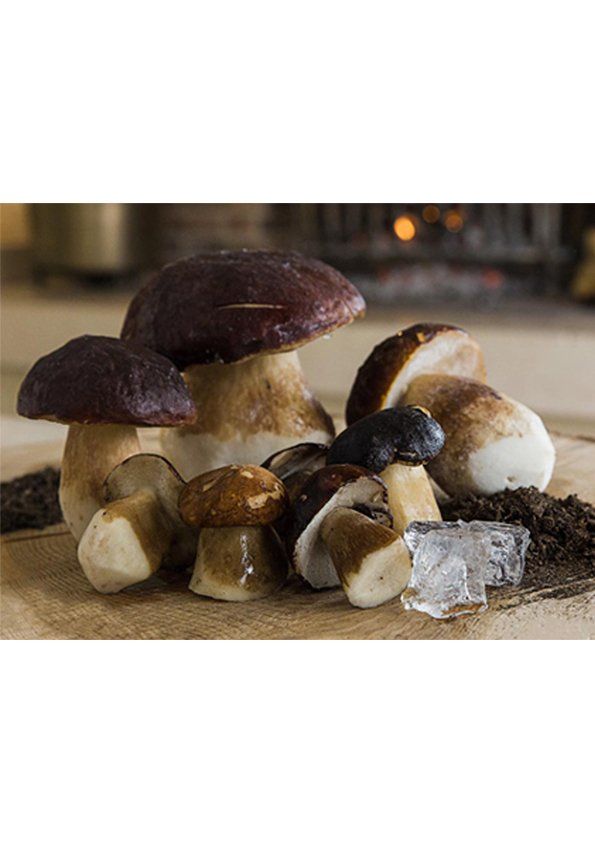 Funghi porcini interi