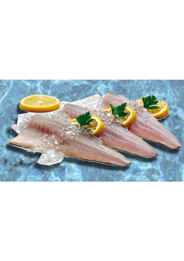 FILETTO BRANZINO