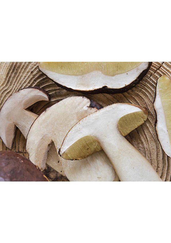 Funghi champignon a fette