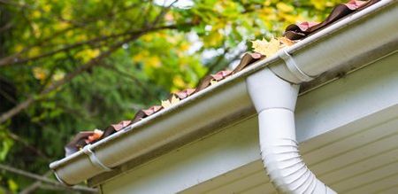 gutter cleaning