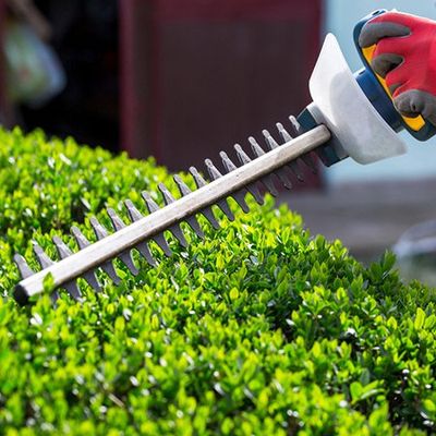 Hedge Cutting