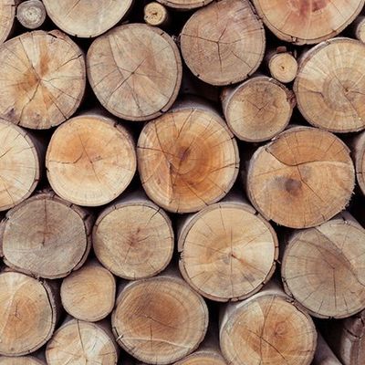 Log & wood chips