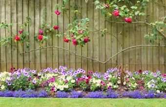 Garden Fence — Deck Installation in Ferndale WA Garden Fence — Deck Installation in Ferndale WA