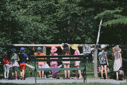 charter bus rental services for field trips school group transportation