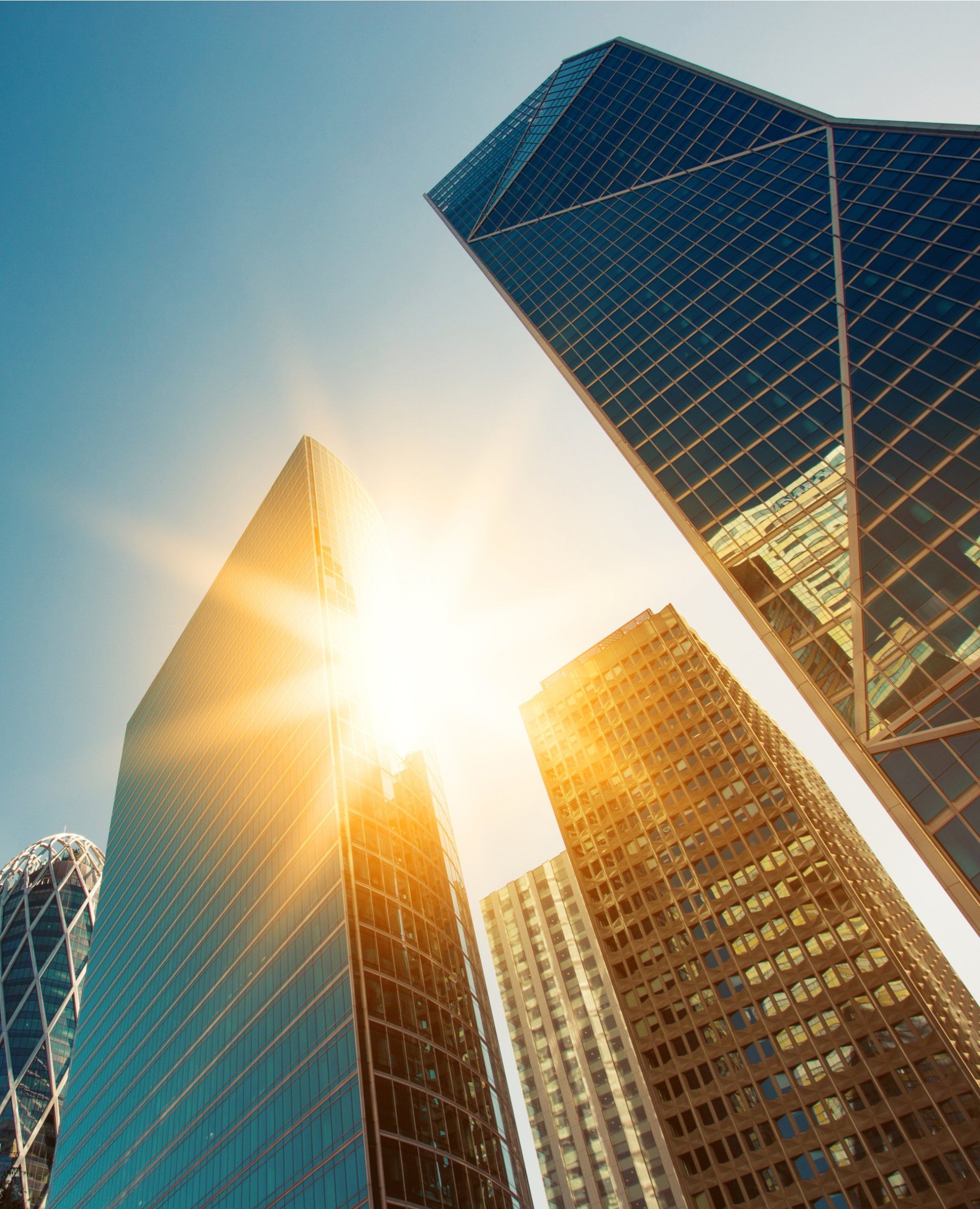Insolvency Support