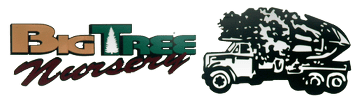 Big Tree Nursery