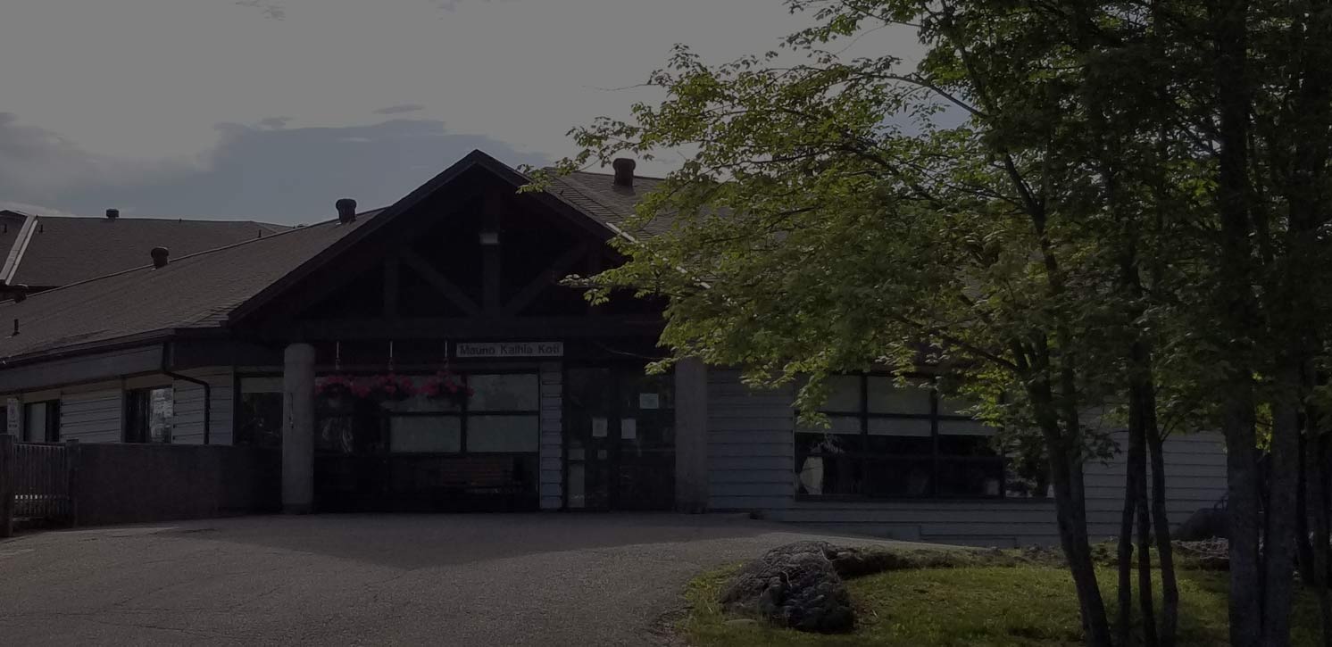 a nursing home in Sault Ste. Marie that provides 24 hour access to healthcare services