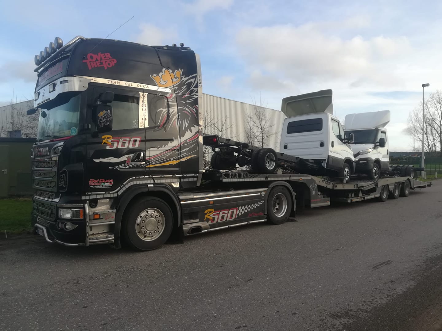 nuovi arrivi