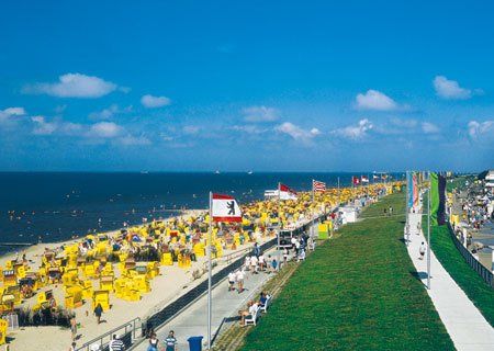 A beach with a lot of yellow chairs and flags