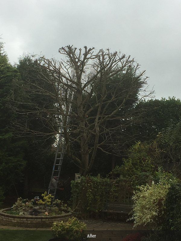 Crown lifting