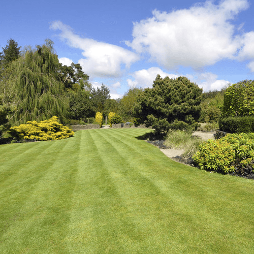 Landscaping