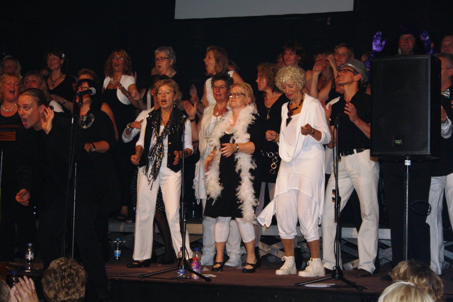 Songfestival boa's