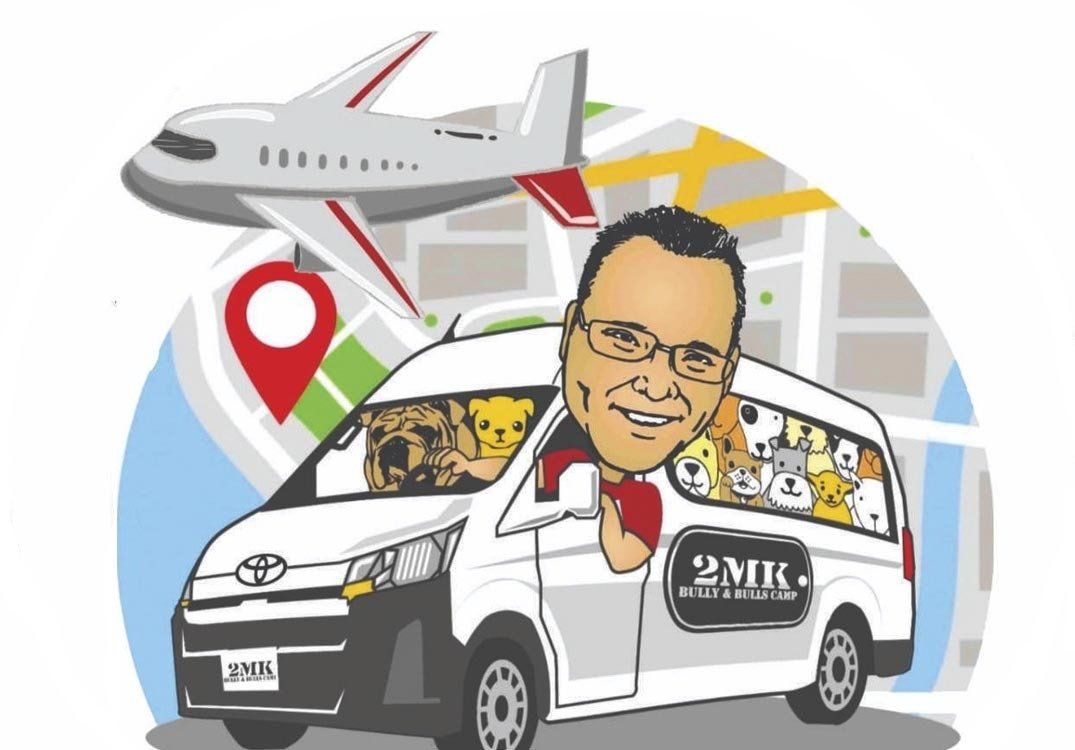 transporte de perros Chihuahua