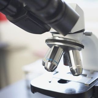 strumento di misurazione ottica