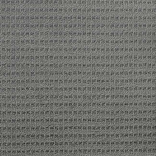 ash grey daytona carpet color