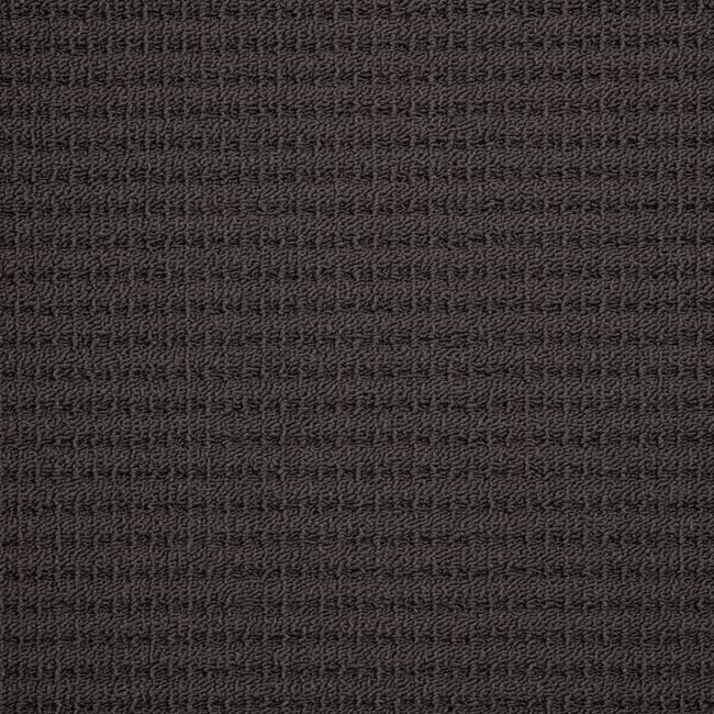 charcoal daytona carpet color
