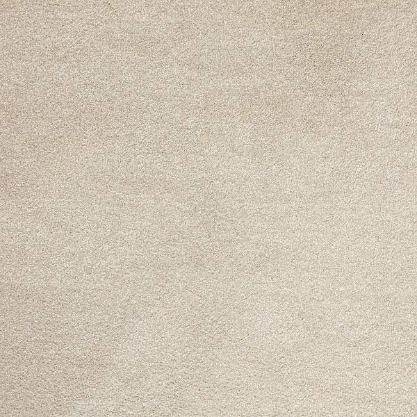 dawn carpet color