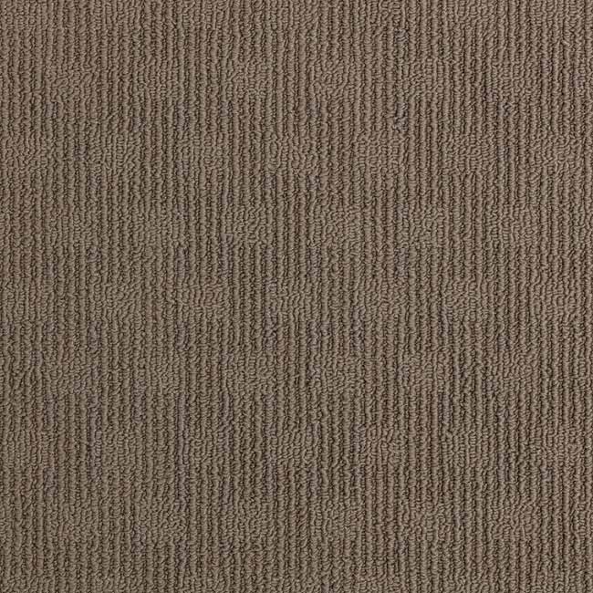 desert brown carpet color