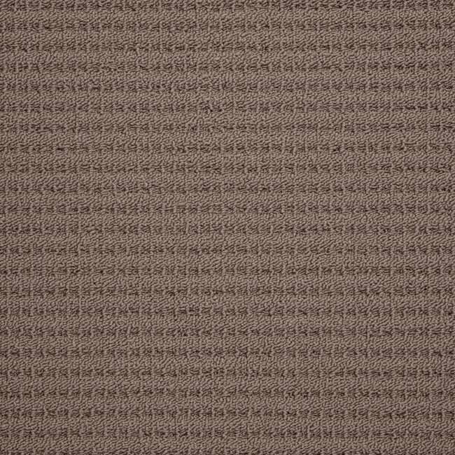 desert brown daytona carpet color