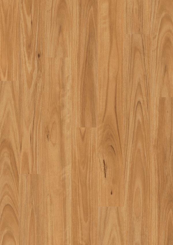 light toned laminate flooring by Eligna