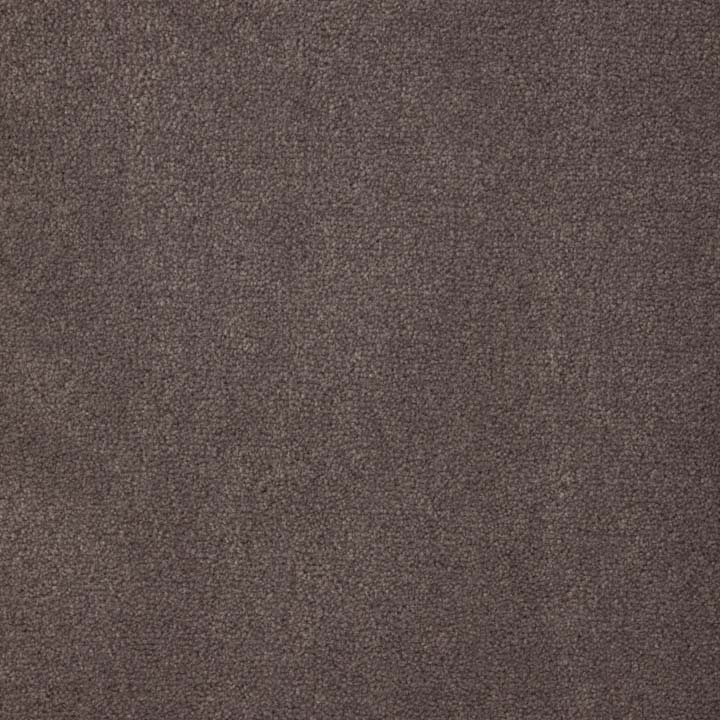 grey canvas royal plush carpet color