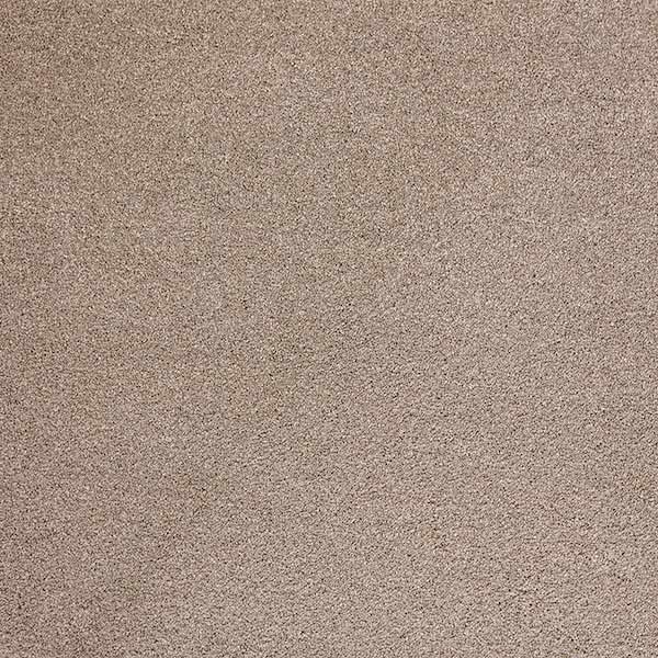 pathway carpet color