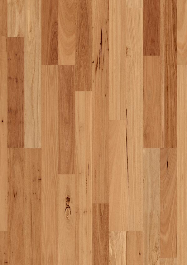 closeup of light cherry  timber floors