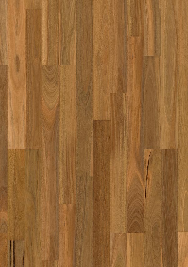 closeup of medium dark timber floors