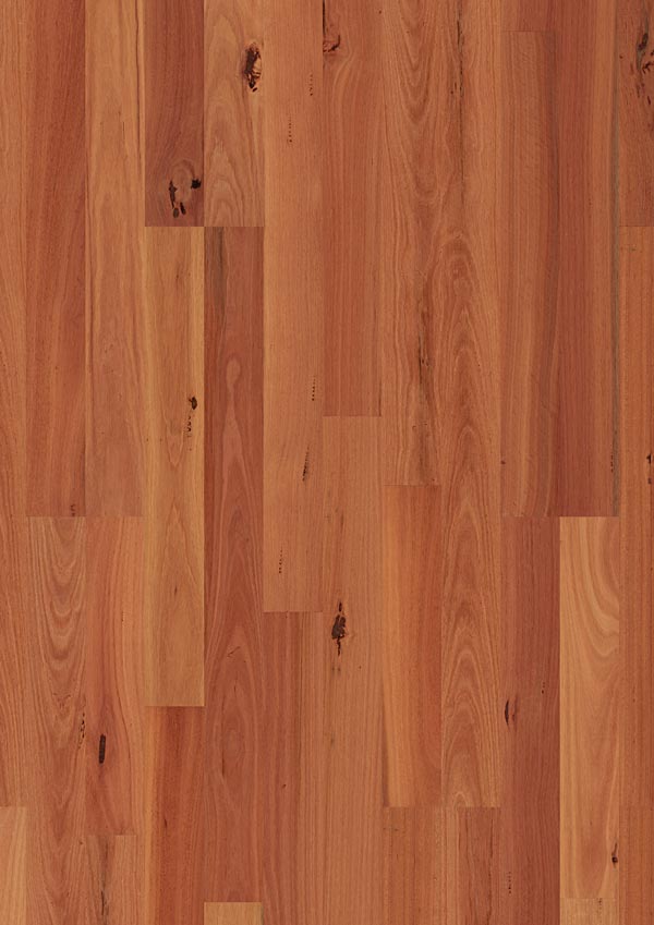 closeup of cherry floors