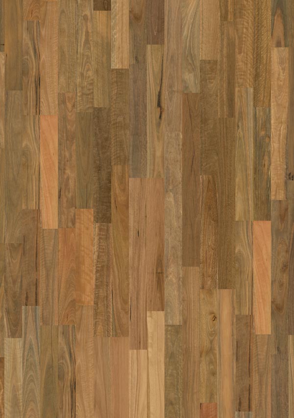 closeup of medium dark timber floors