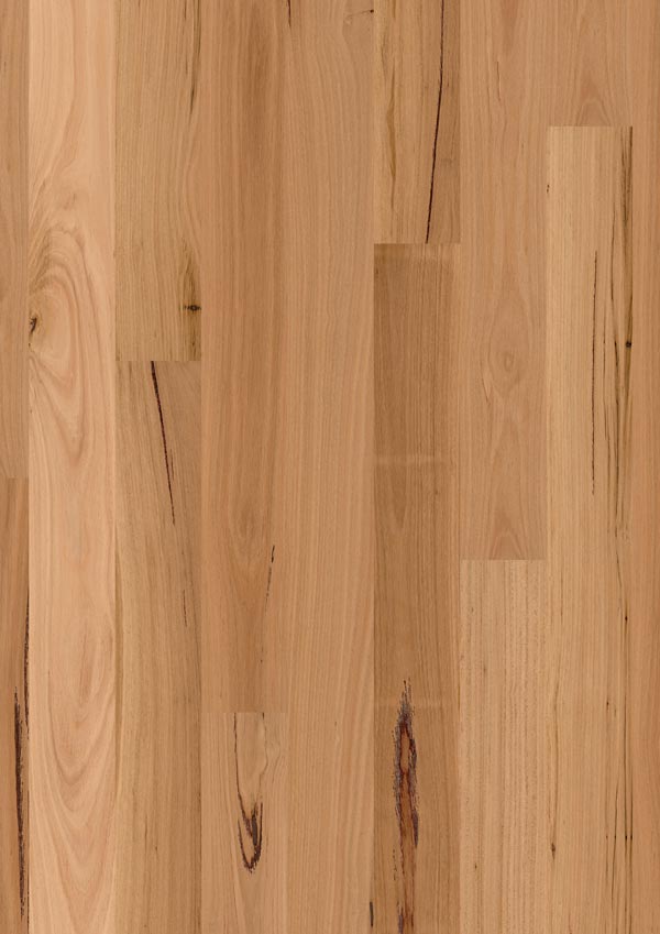 closeup of light cherry timber