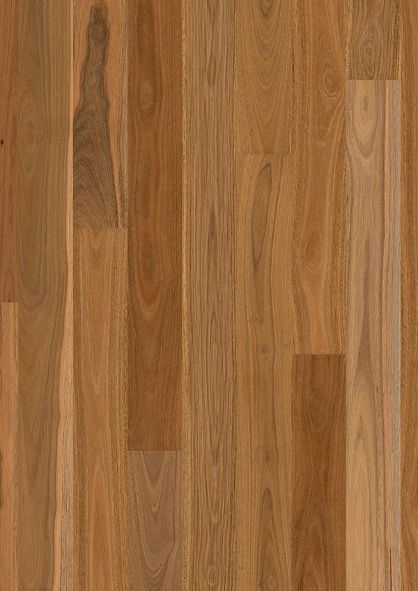 closeup of medium dark timber