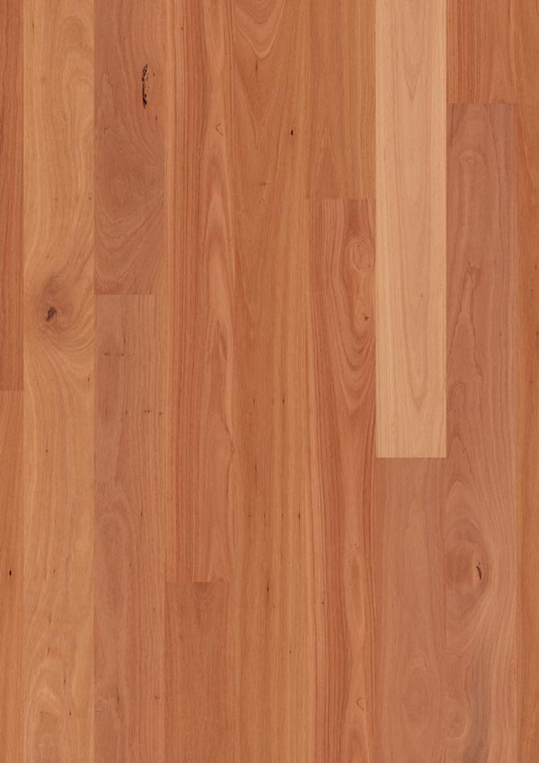 closeup of cherry toned readyflor timber
