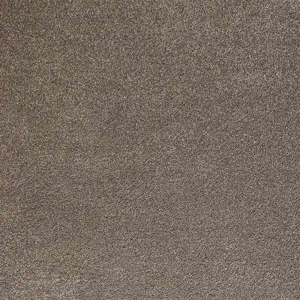 raw umber carpet color
