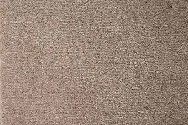 rocky coast