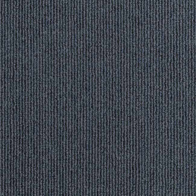 seacreast high tech carpet color