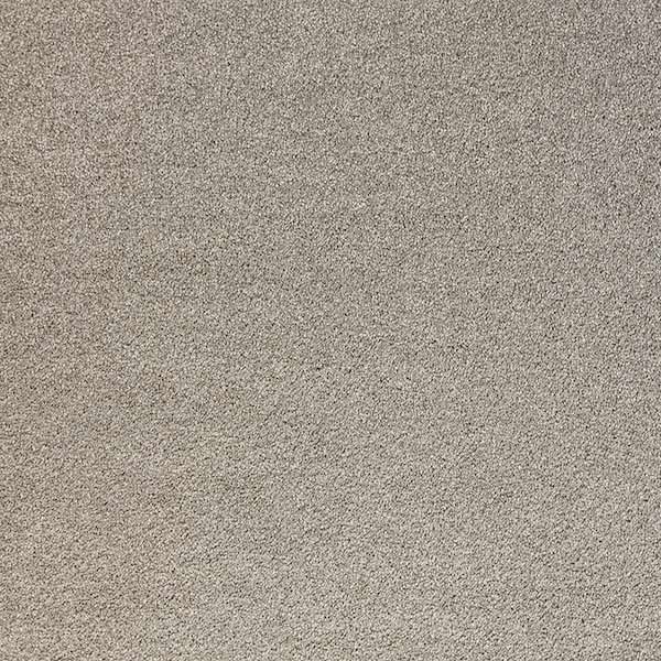 shoreliner carpet color